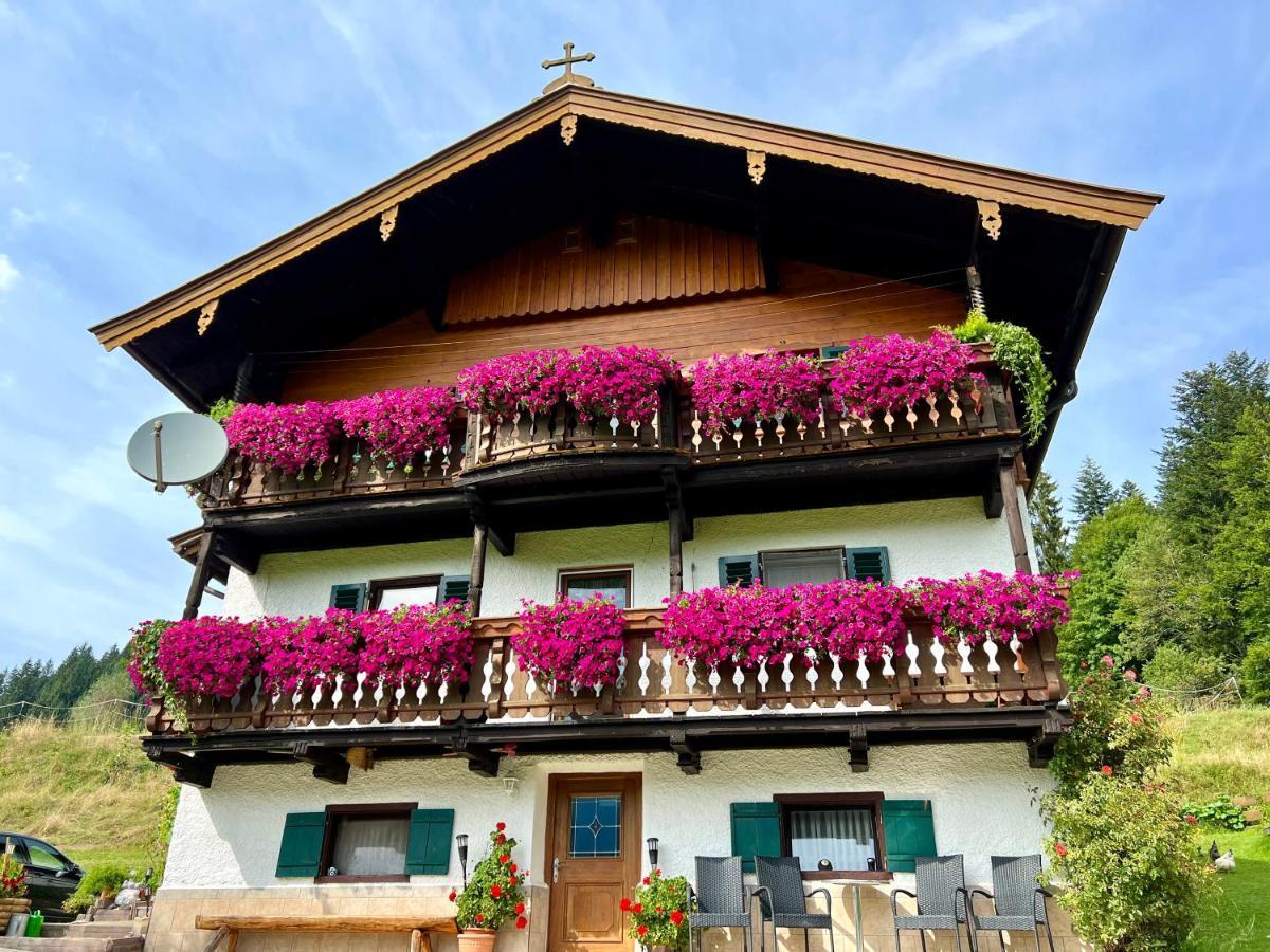 Appartement Sunnseit - Kitzbueheler Alpen Sankt Johann in Tirol Eksteriør bilde